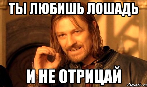 ты любишь лошадь и не отрицай, Мем Нельзя просто так взять и (Боромир мем)