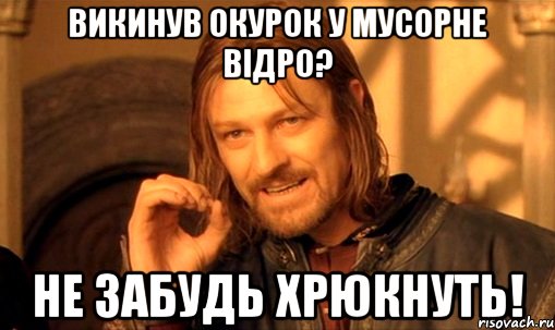 викинув окурок у мусорне відро? не забудь хрюкнуть!, Мем Нельзя просто так взять и (Боромир мем)