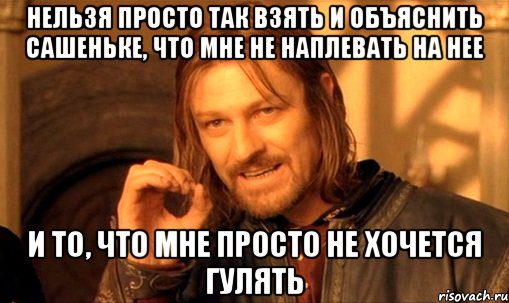 нельзя просто так взять и объяснить сашеньке, что мне не наплевать на нее и то, что мне просто не хочется гулять, Мем Нельзя просто так взять и (Боромир мем)