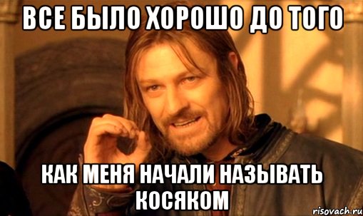 все было хорошо до того как меня начали называть косяком, Мем Нельзя просто так взять и (Боромир мем)