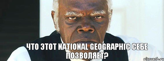 Что этот National Geographic себе позволяет?, Мем   Что этот ниггер себе позволяет