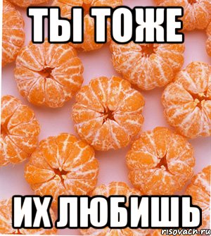 ты тоже их любишь