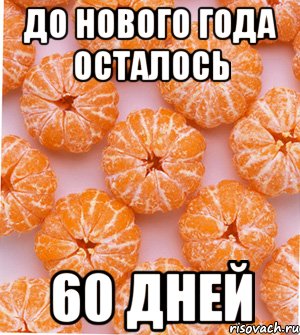 до нового года осталось 60 дней