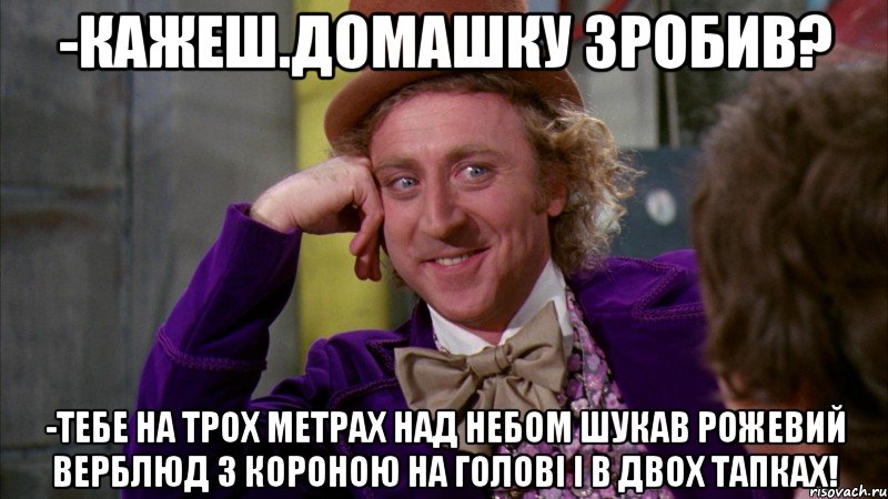 -кажеш.домашку зробив? -тебе на трох метрах над небом шукав рожевий верблюд з короною на голові і в двох тапках!, Мем Ну давай расскажи (Вилли Вонка)