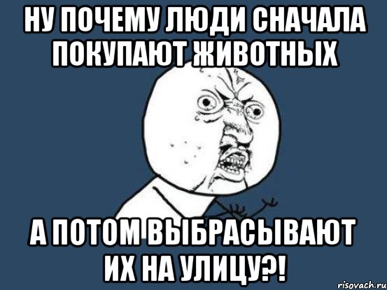 ну почему люди сначала покупают животных а потом выбрасывают их на улицу?!, Мем Ну почему