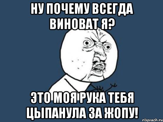 ну почему всегда виноват я? это моя рука тебя цыпанула за жопу!, Мем Ну почему