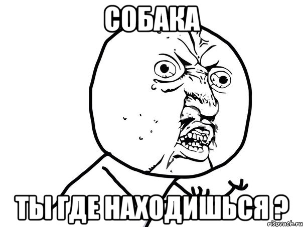 собака ты где находишься ?, Мем Ну почему (белый фон)