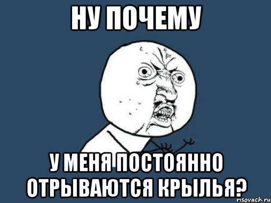ну почему у меня постоянно отрываются крылья?, Мем Ну почему