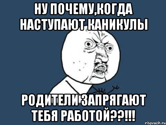 ну почему,когда наступают каникулы родители запрягают тебя работой??!!!, Мем Ну почему