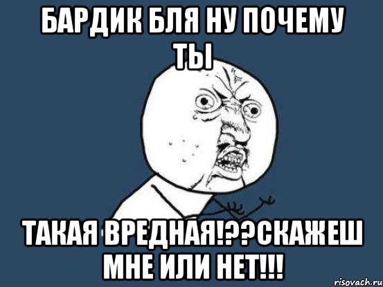 бардик бля ну почему ты такая вредная!??скажеш мне или нет!!!, Мем Ну почему