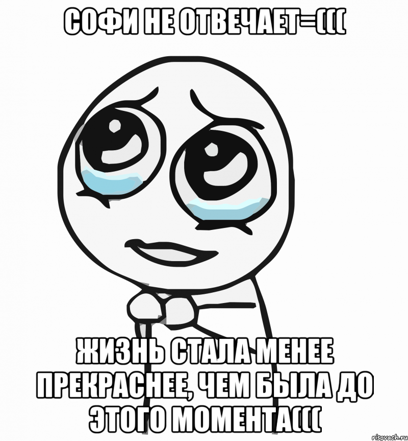 софи не отвечает=((( жизнь стала менее прекраснее, чем была до этого момента(((, Мем  ну пожалуйста (please)