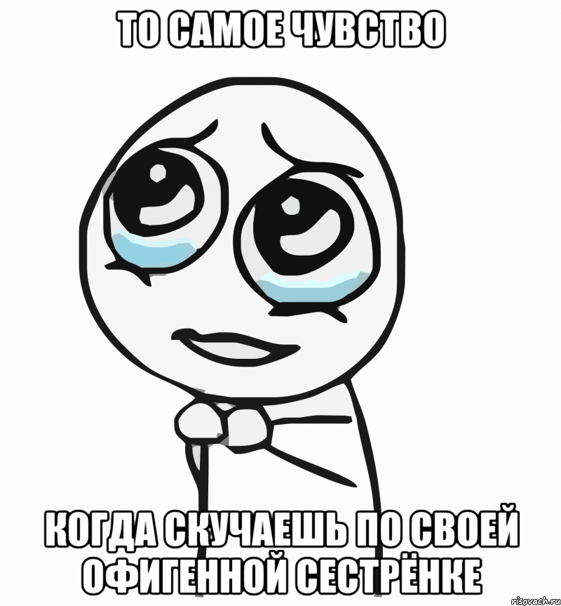 то самое чувство когда скучаешь по своей офигенной сестрёнке, Мем  ну пожалуйста (please)