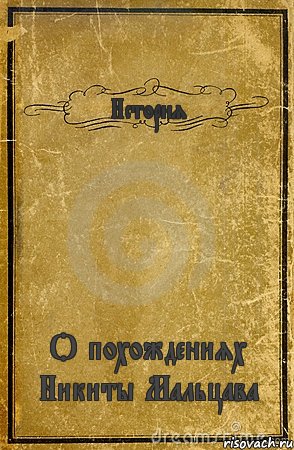 История О похождениях Никиты Мальцава, Комикс обложка книги