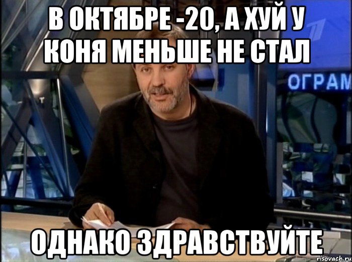 в октябре -20, а хуй у коня меньше не стал однако здравствуйте, Мем Однако Здравствуйте