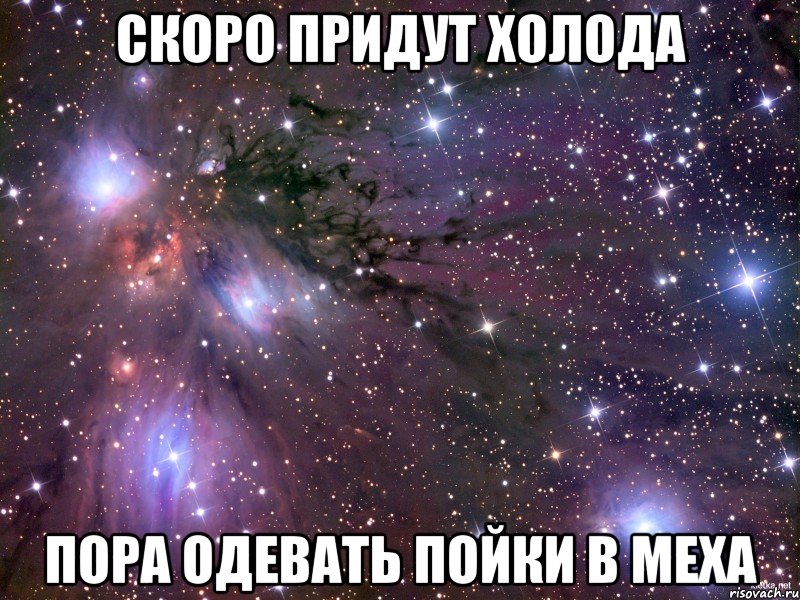 скоро придут холода пора одевать пойки в меха, Мем Космос
