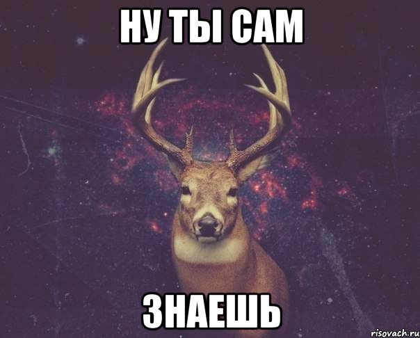 ну ты сам знаешь