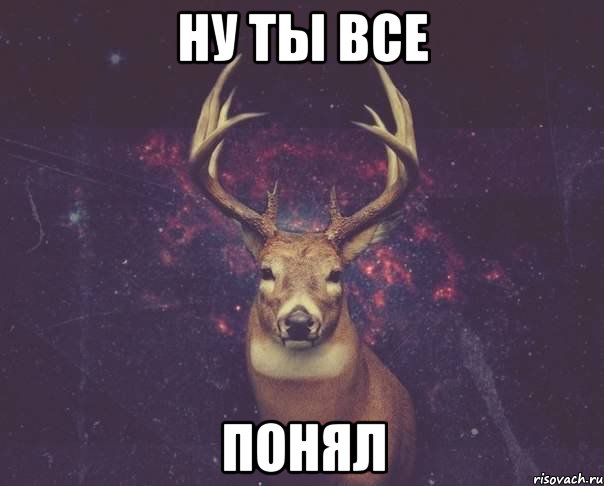 ну ты все понял