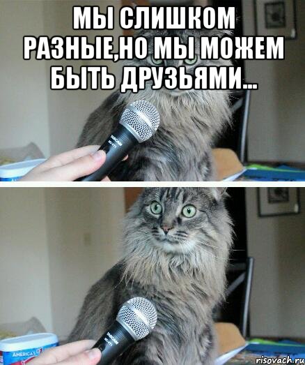 мы слишком разные,но мы можем быть друзьями... , Комикс  кот с микрофоном