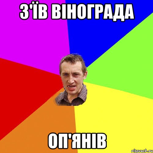 з'їв вінограда оп'янів, Мем Чоткий паца