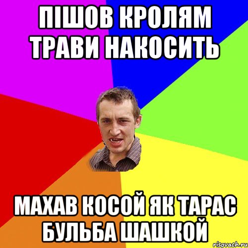 пішов кролям трави накосить махав косой як тарас бульба шашкой, Мем Чоткий паца