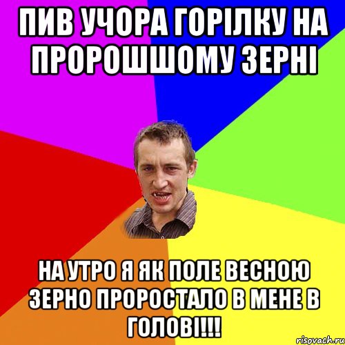 пив учора горілку на пророшшому зерні на утро я як поле весною зерно проростало в мене в голові!!!, Мем Чоткий паца