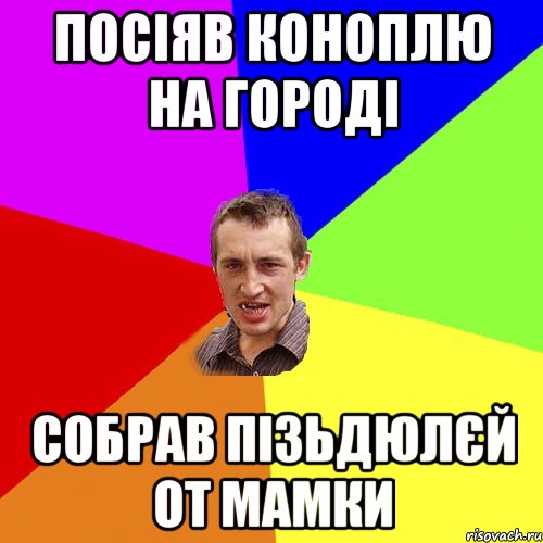 посіяв коноплю на городі собрав пізьдюлєй от мамки, Мем Чоткий паца