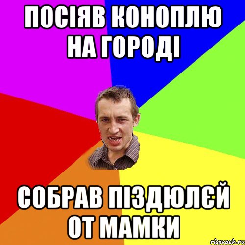 посіяв коноплю на городі собрав піздюлєй от мамки, Мем Чоткий паца