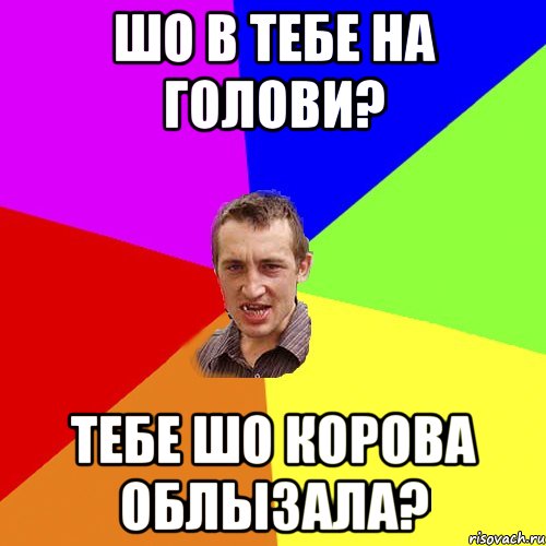 шо в тебе на голови? тебе шо корова облызала?, Мем Чоткий паца