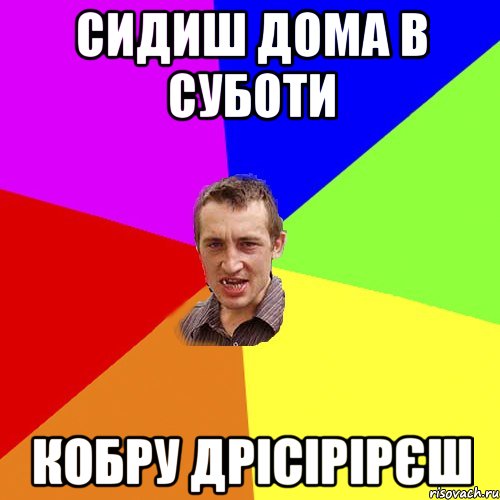 сидиш дома в суботи кобру дрісірірєш, Мем Чоткий паца