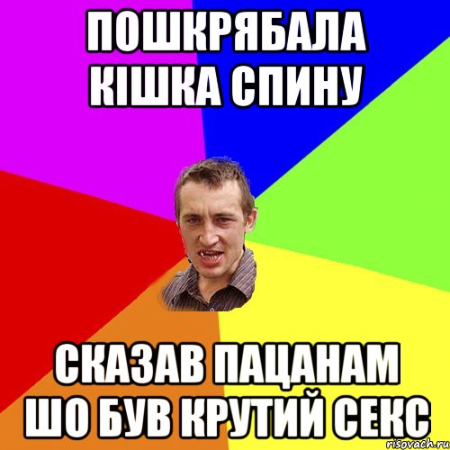 пошкрябала кішка спину сказав пацанам шо був крутий секс, Мем Чоткий паца