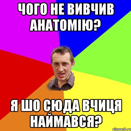 чого не вивчив анатомію? я шо сюда вчиця наймався?, Мем Чоткий паца