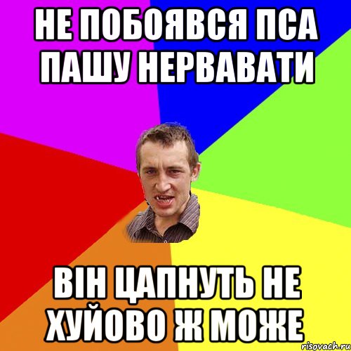 не побоявся пса пашу нервавати він цапнуть не хуйово ж може, Мем Чоткий паца