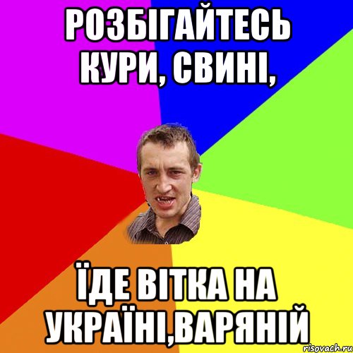 розбігайтесь кури, свині, їде вітка на україні,варяній, Мем Чоткий паца