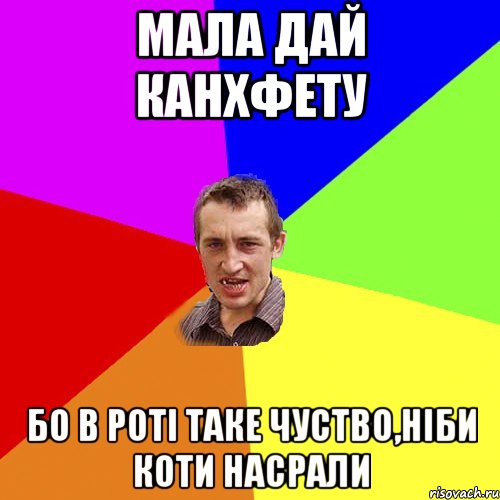 мала дай канхфету бо в роті таке чуство,ніби коти насрали, Мем Чоткий паца