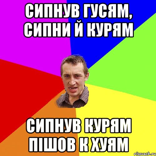 сипнув гусям, сипни й курям сипнув курям пішов к хуям, Мем Чоткий паца