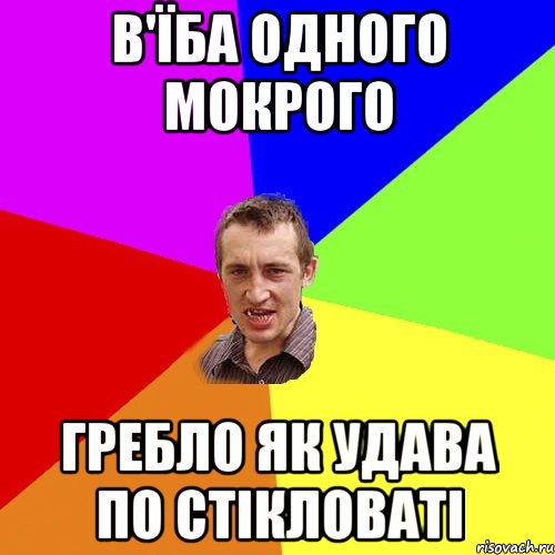 в'їба одного мокрого гребло як удава по стікловаті, Мем Чоткий паца