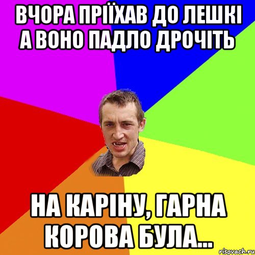 вчора пріїхав до лешкі а воно падло дрочіть на каріну, гарна корова була..., Мем Чоткий паца