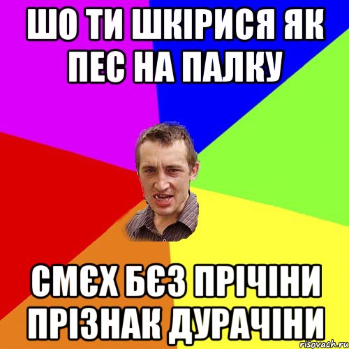 шо ти шкірися як пес на палку смєх бєз прічіни прізнак дурачіни, Мем Чоткий паца