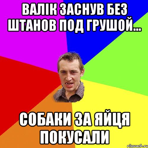 валік заснув без штанов под грушой... собаки за яйця покусали, Мем Чоткий паца