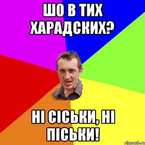 шо в тих харадских? ні сіськи, ні піськи!, Мем Чоткий паца