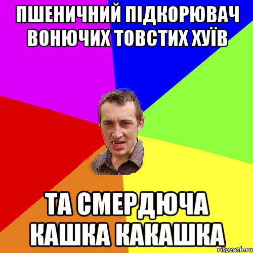 пшеничний підкорювач вонючих товстих хуїв та смердюча кашка какашка, Мем Чоткий паца