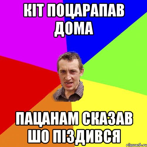 кіт поцарапав дома пацанам сказав шо піздився, Мем Чоткий паца