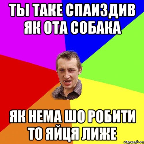 ты таке спаиздив як ота собака як нема шо робити то яйця лиже, Мем Чоткий паца