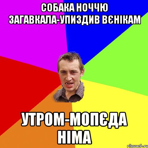 собака ноччю загавкала-упиздив вєнікам утром-мопєда німа, Мем Чоткий паца