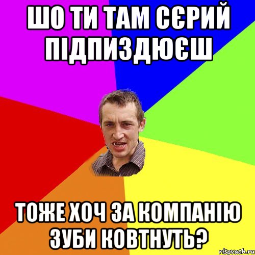 шо ти там сєрий підпиздюєш тоже хоч за компанію зуби ковтнуть?, Мем Чоткий паца