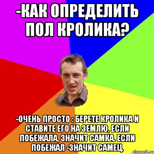 -как определить пол кролика? -очень просто : берете кролика и ставите его на землю, если побежала, значит самка. если побежал -значит самец., Мем Чоткий паца