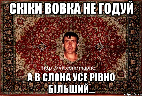 скіки вовка не годуй а в слона усе рівно більший..., Мем Парнь на сел