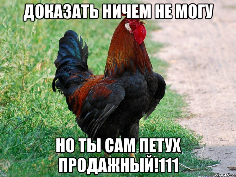 доказать ничем не могу но ты сам петух продажный!111