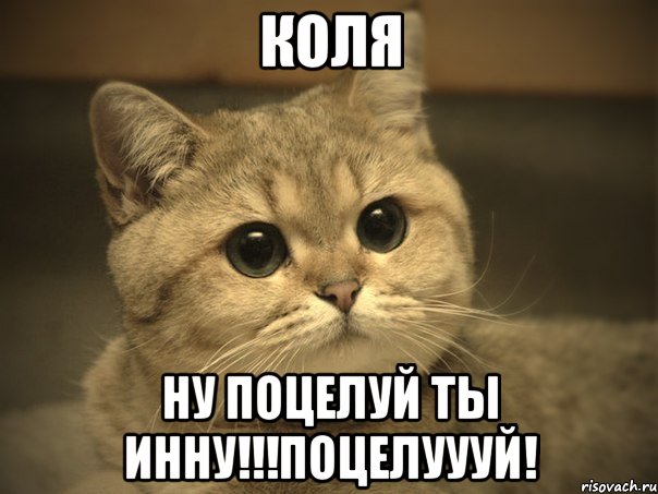 коля ну поцелуй ты инну!!!поцелуууй!, Мем Пидрила ебаная котик