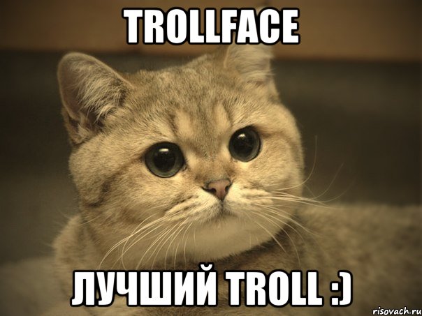 trollface лучший troll :), Мем Пидрила ебаная котик